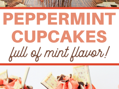 chocolate peppermint cupcakes recipe