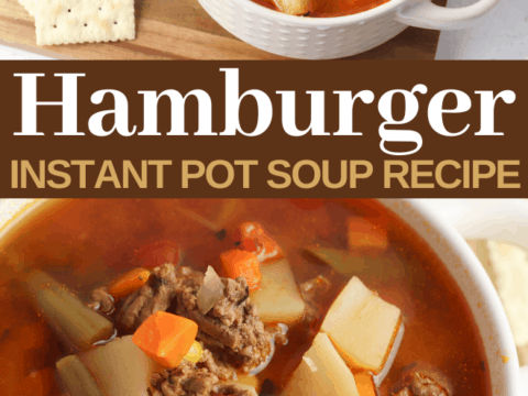 ground hamburger meat and vegetable soup in the instapot
