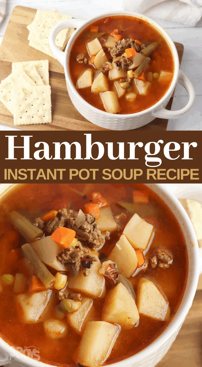 ground hamburger meat and vegetable soup in the instapot