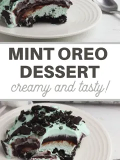 oreo cookie mint ice cream dessert recipe