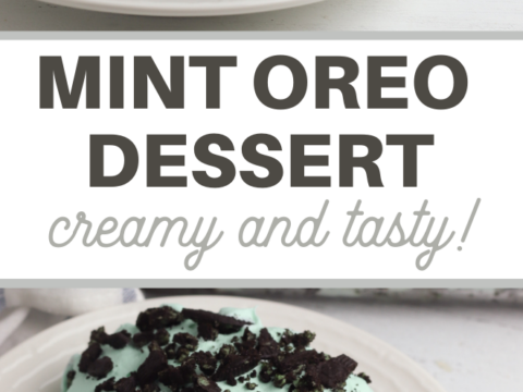 oreo cookie mint ice cream dessert recipe