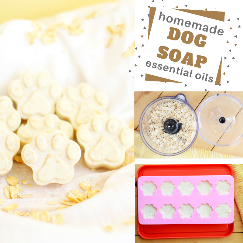 homemade dog soap bar recipe