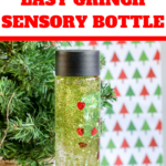 how to make your own grinch sensory bottle