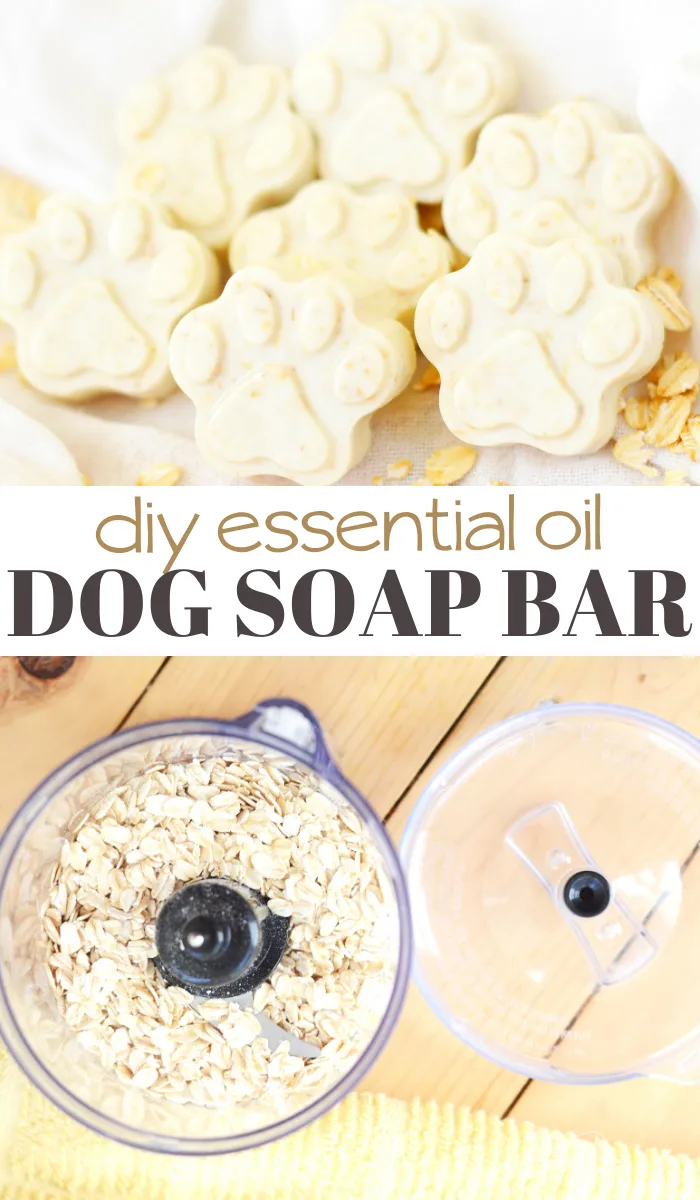 oatmeal dog soap melt and pour soap recipe