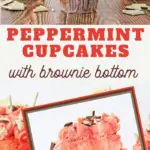 peppermint bark cupcakes recipe