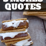 cute smores quotes for tshirts notebooks and more