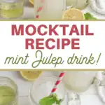 recipe for mint julep mocktail