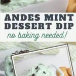 Sweet dip of mint and chocolate