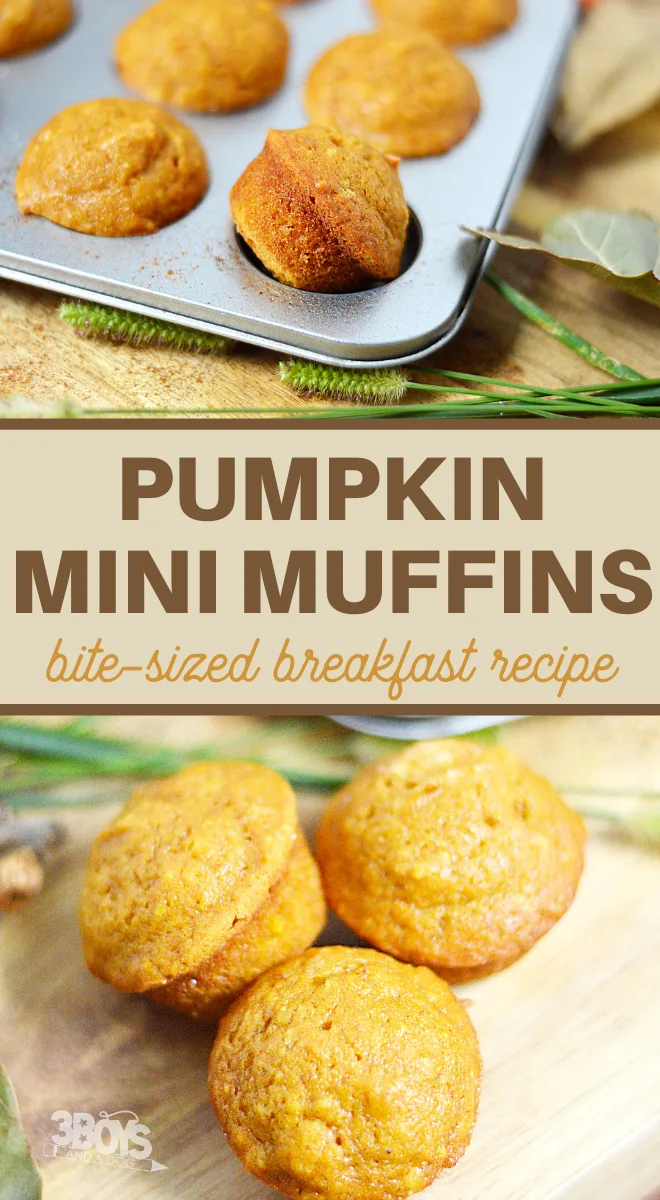 these bite sized muffins are full of the wonderful autumn flavor of pumpkin