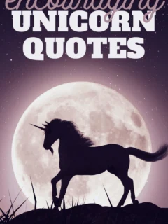 unicorn quotes to encourage you when life gets difficult