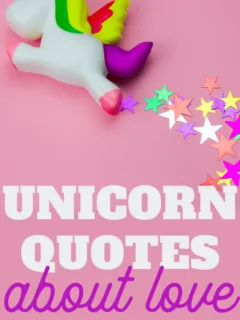 unicorn quotes that talk about magical love