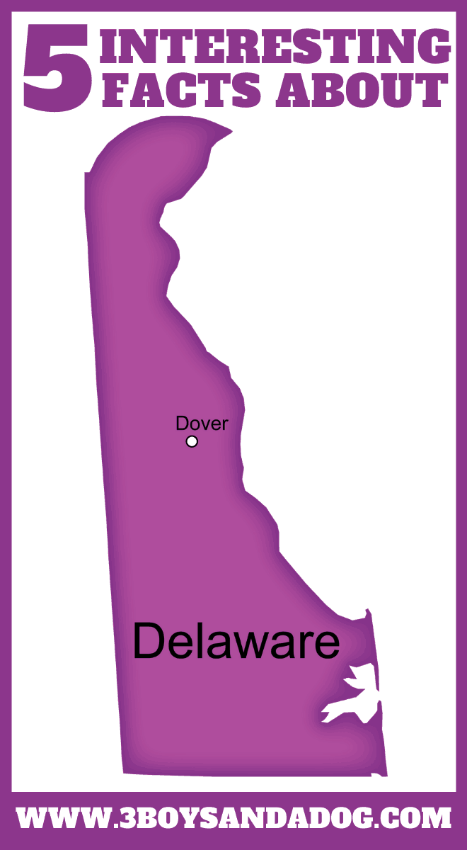 delaware state unit study
