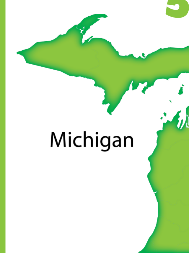 Interesting Facts about Michigan State Story