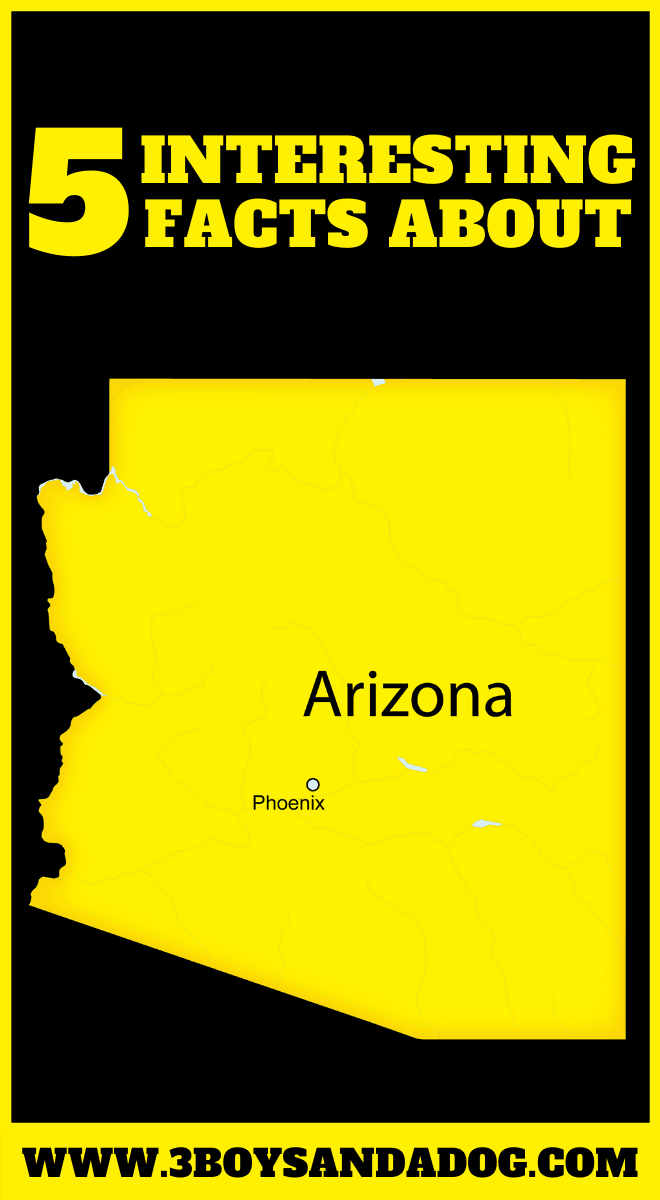 state unit study about Arizona