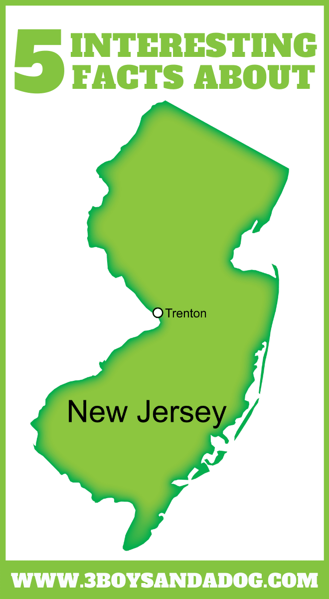 state unit study about New Jersey