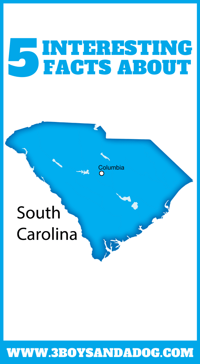state unit study about South Carolina