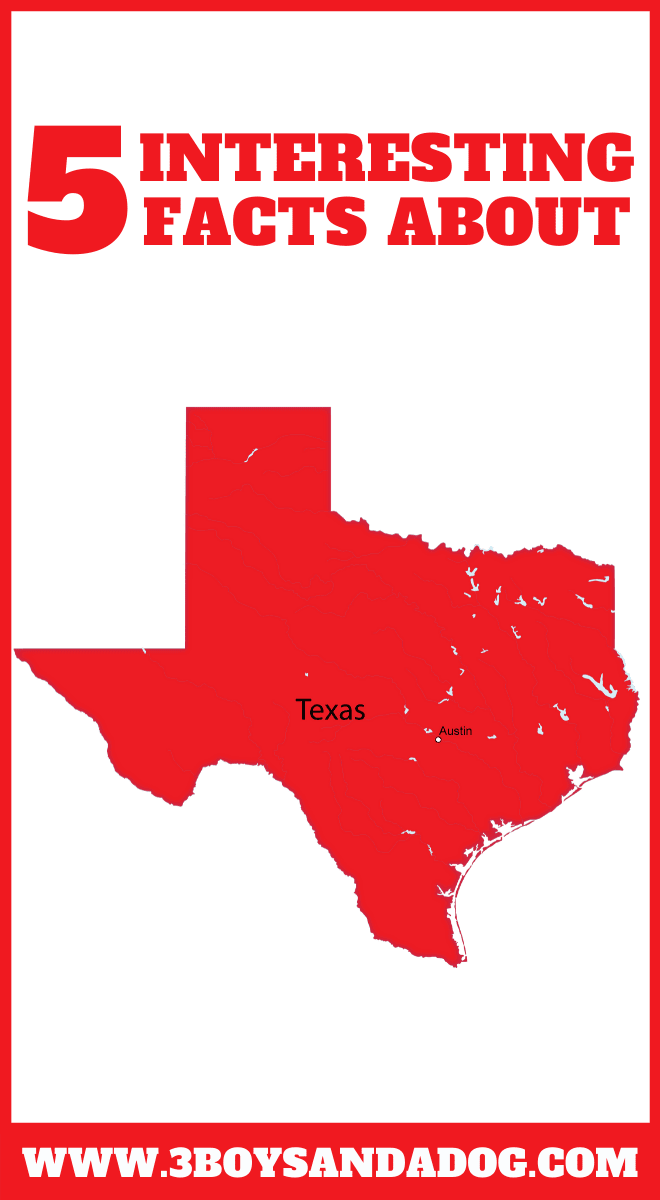 state unit study about Texas