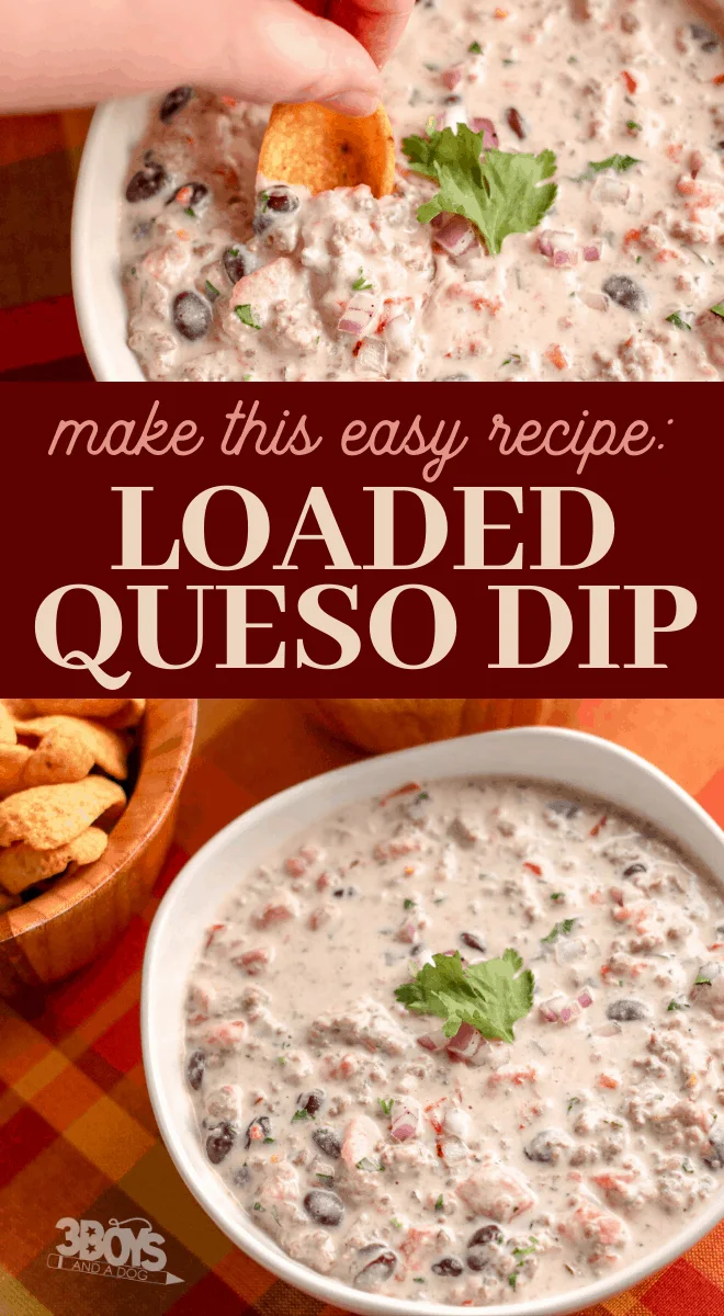 this is almost like a bean burrito in dip form