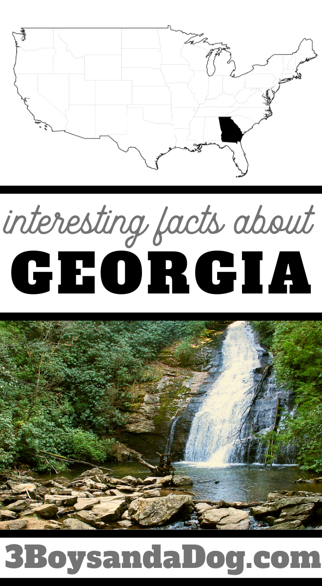Interesting Facts about Georgia State You'll Love!