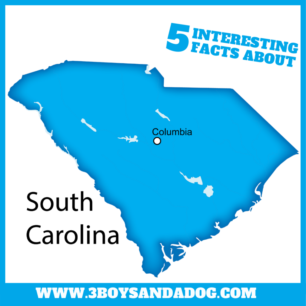 interesting facts about South Carolina