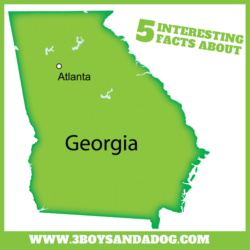state unit study about Georgia