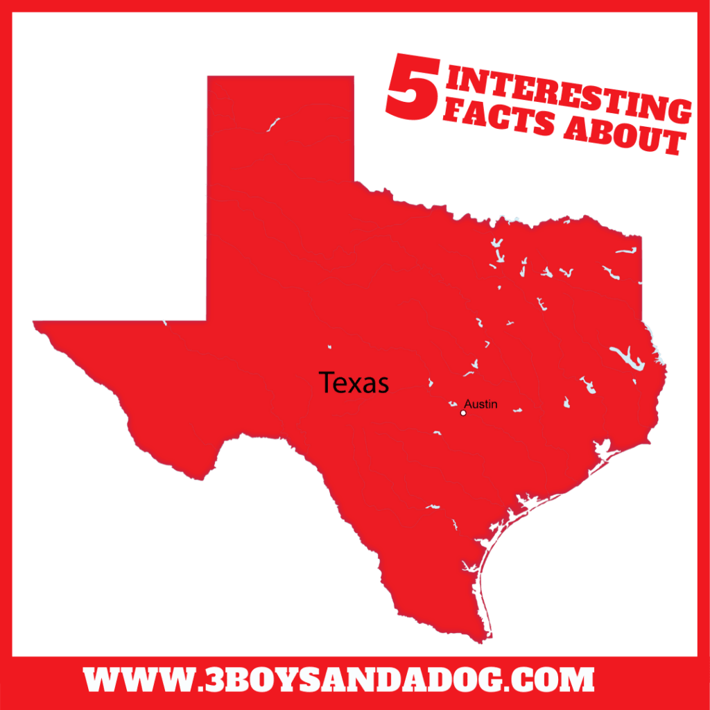 interesting facts about Texas