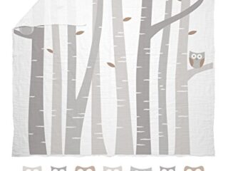 Image for Monthly Milestone Photo Blanket