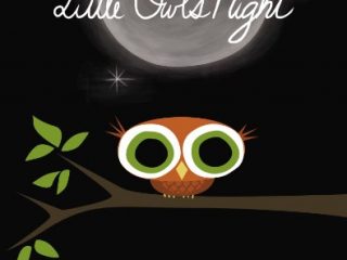 Image for Little Owl's Night