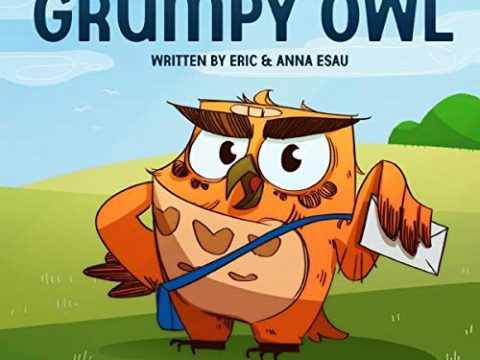 Image for Grumpy Owl