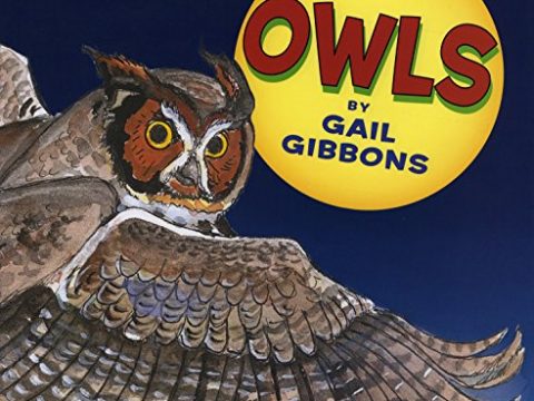 Image for Owls