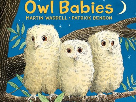 Image for Owl Babies