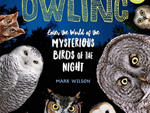 Image for Owling: Enter the World of the Mysterious Birds of the Night