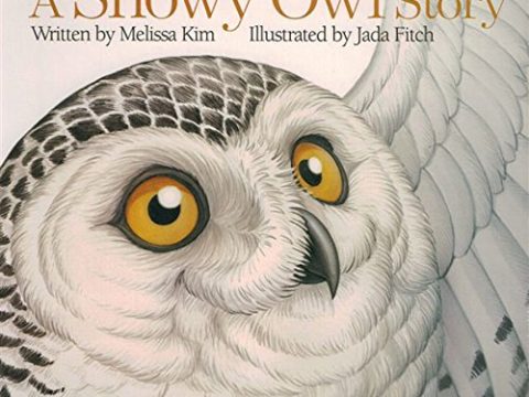 Image for A Snowy Owl Story (Wildlife on the Move)