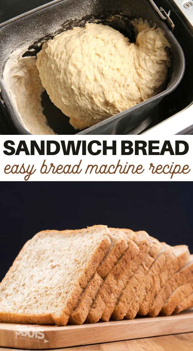 it only takes a few ingredients to make this delicious bread in the bread maker