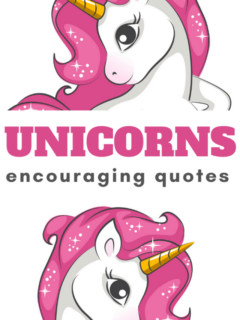 encouraging quotes about unicorns