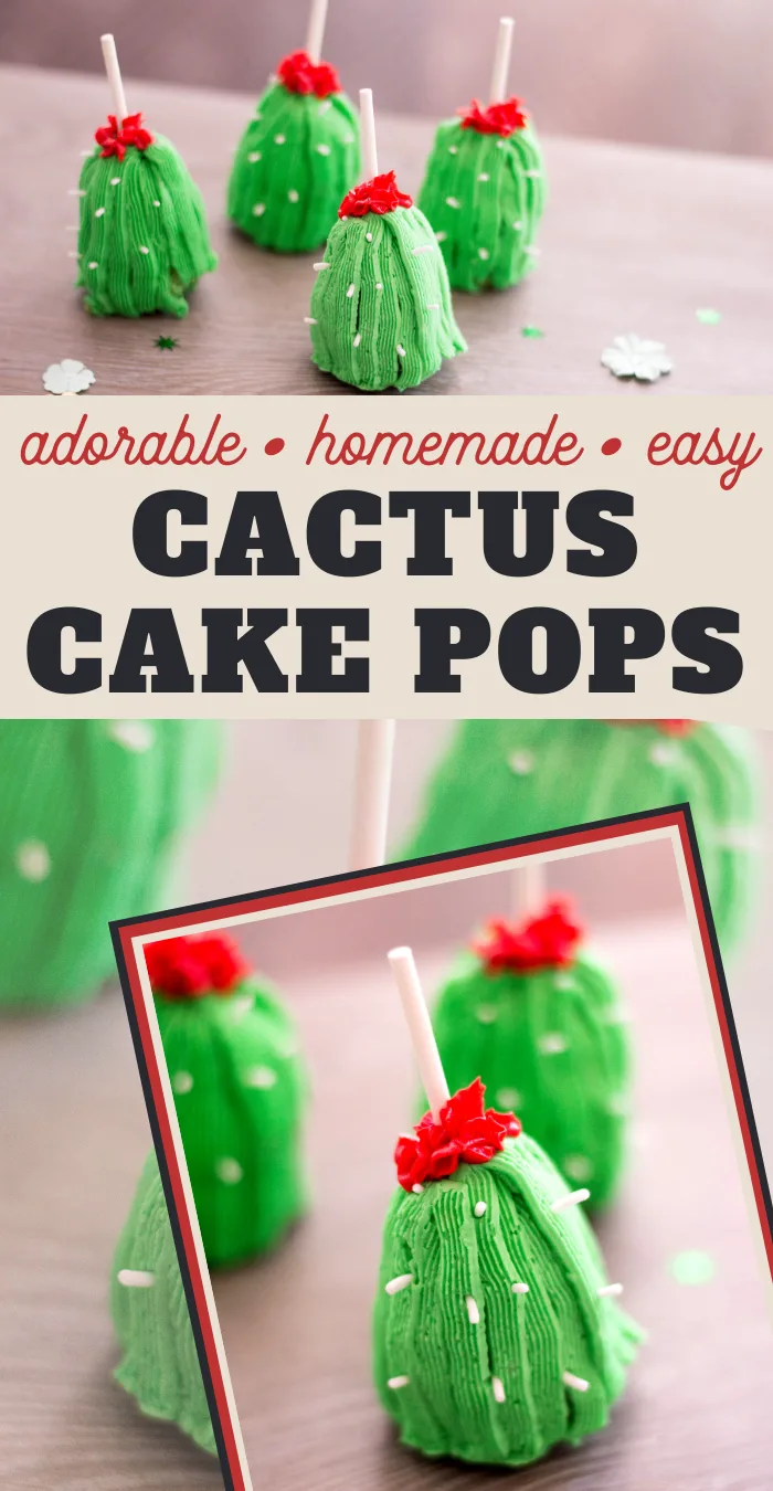 adorable cactus cake pops look so realistic