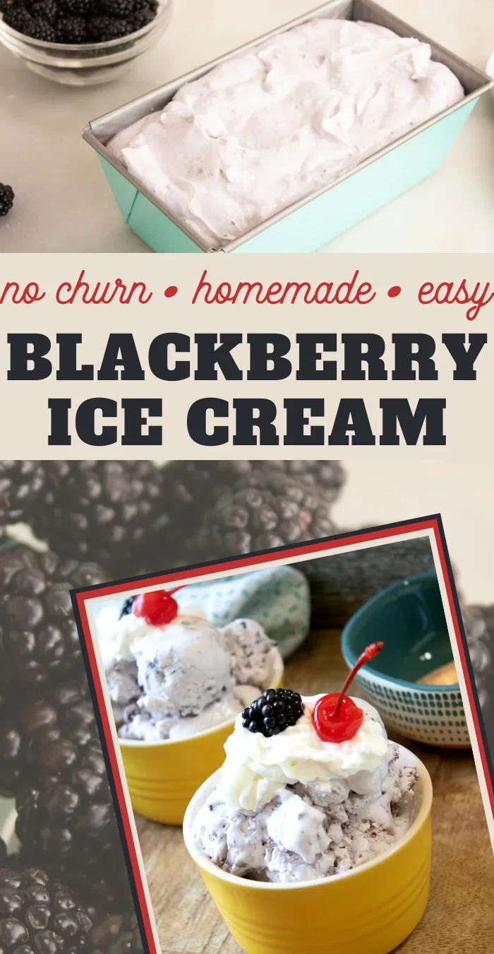 easy no churn blackberry ice cream recipe