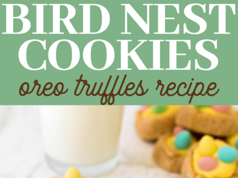 Oreo truffles bird nests with malt eggs
