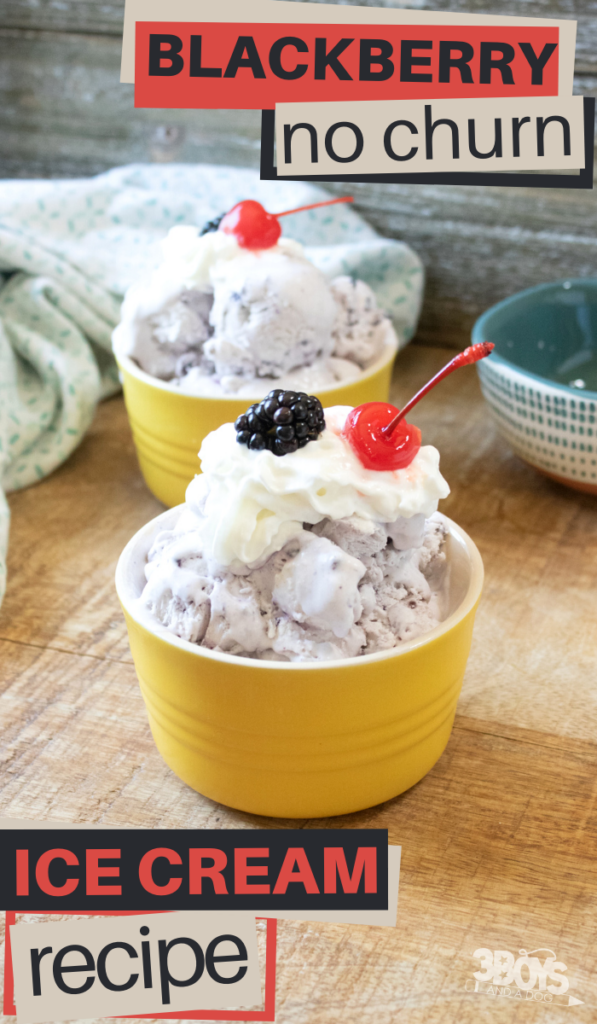 Homemade Blackberry Ice Cream Recipe