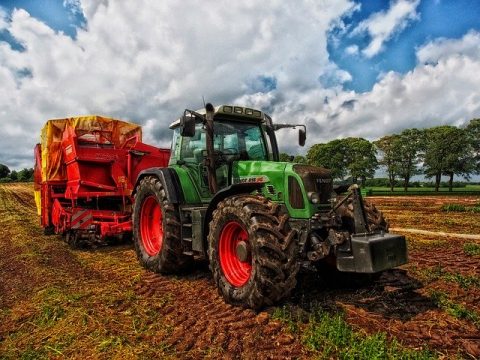 Image for Visit a Farm (or 11)