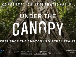 Image for Experience the Amazon Rainforest