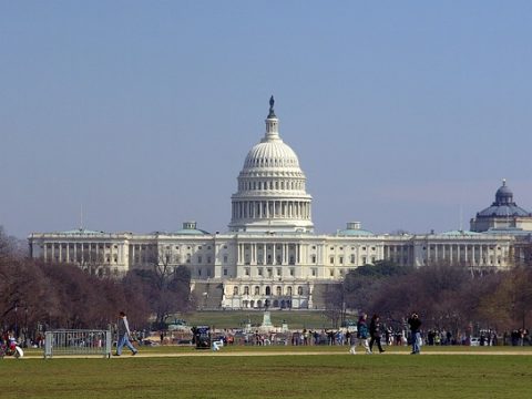 Image for Field Trip to Capitol Hill