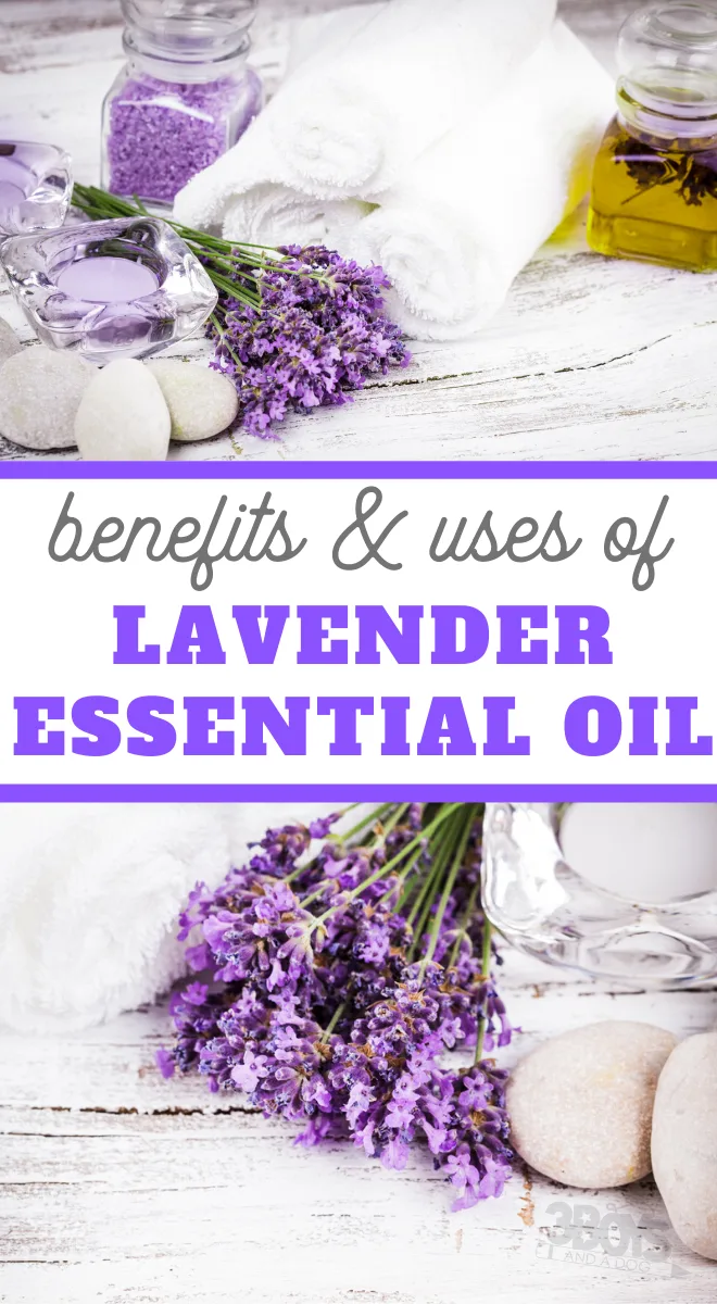 benefits of lavender essential oil