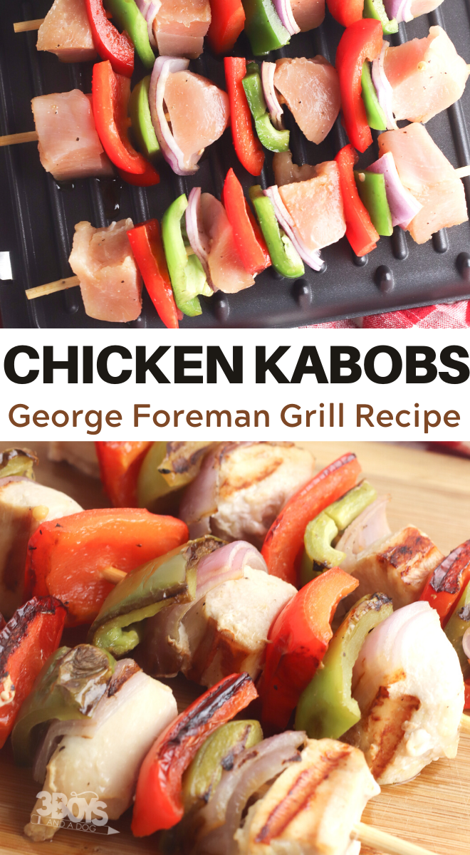 Chicken Kabobs On A George Foreman Grill 3 Boys And A Dog,Best Refrigerator For Garage