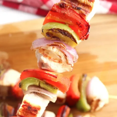 chicken kabobs on a george foreman grill