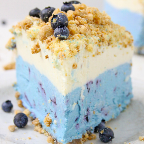 fresh blueberries make a delicious and gorgeous dessert recipe that is perfect for a hot summer day