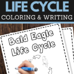 help your young children learn the life cycle of a bald eagle while practicing pencil grip handwriting and fine motor