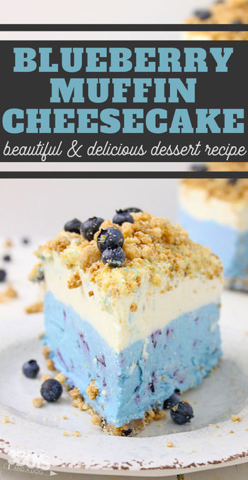 easy blueberry cheesecake recipe