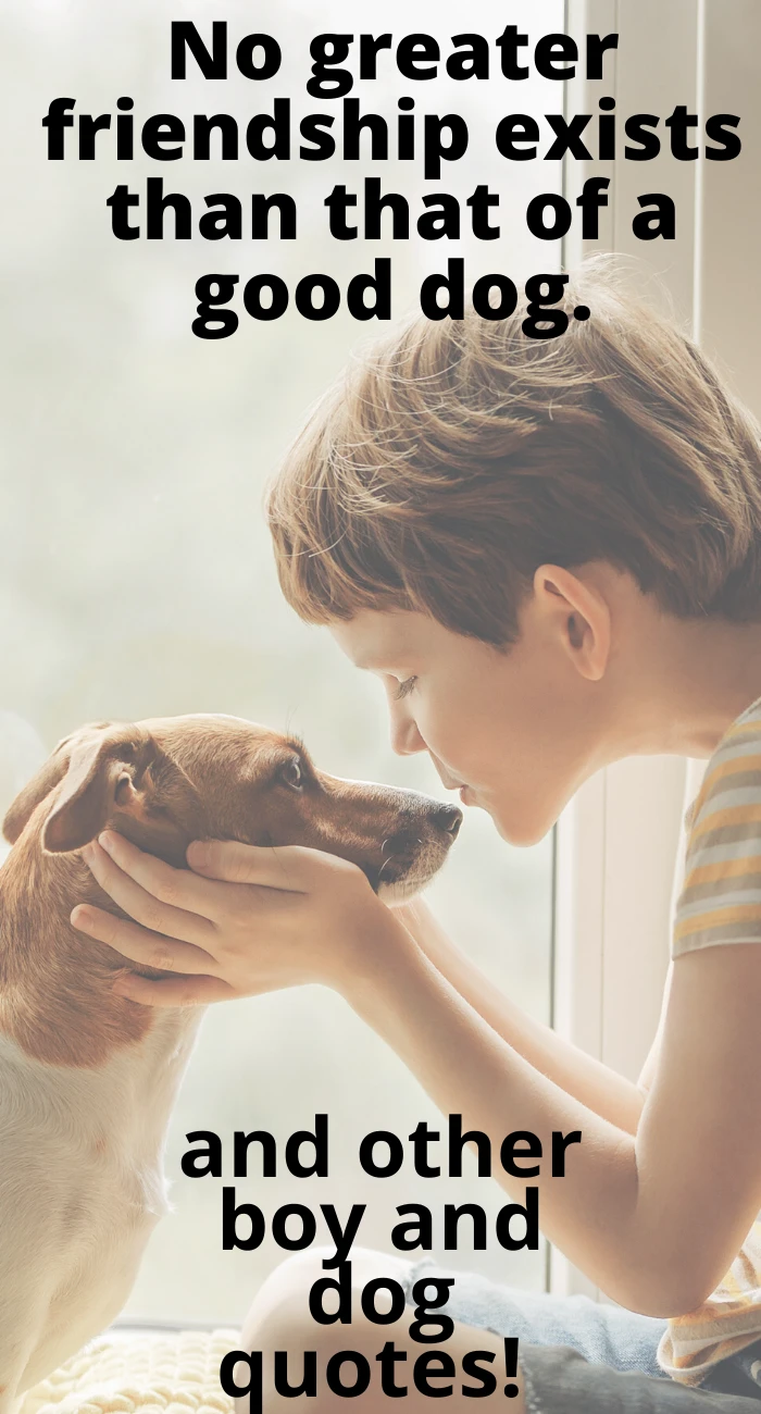 boy and dog quotes