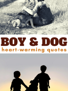 quotes about a boy and his dog